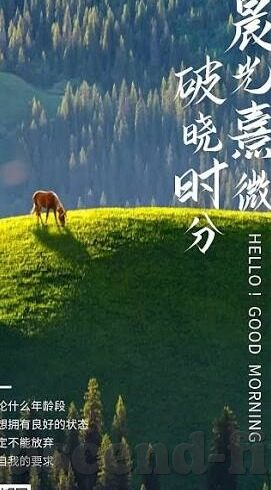 星耀世界杯葡萄牙-星耀世界杯，葡萄牙的足球传奇